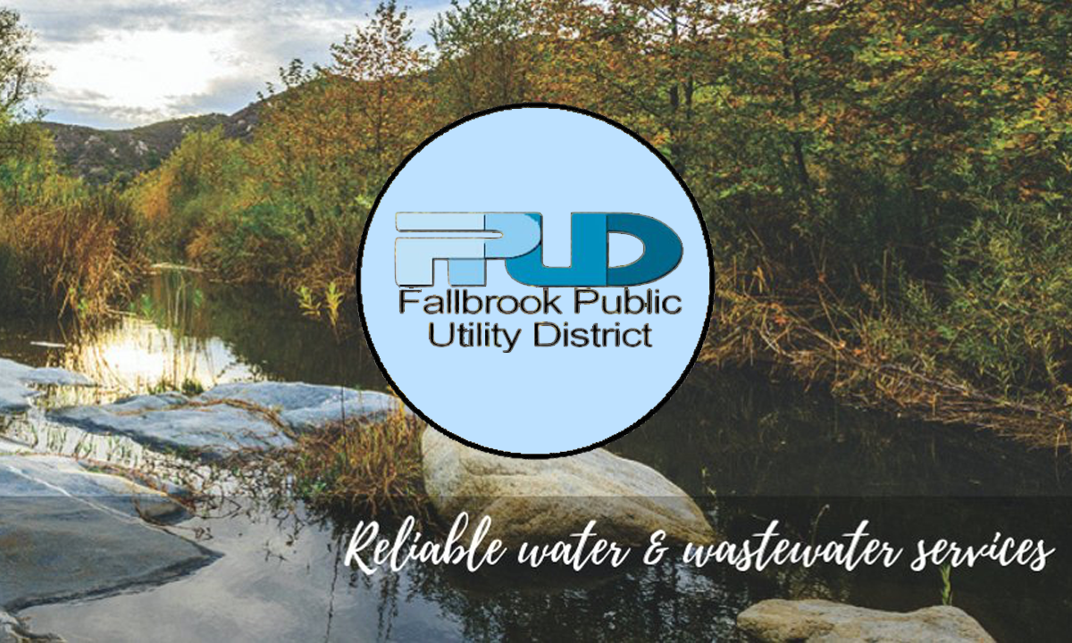 Jennifer DeMeo becomes first woman president of FPUD