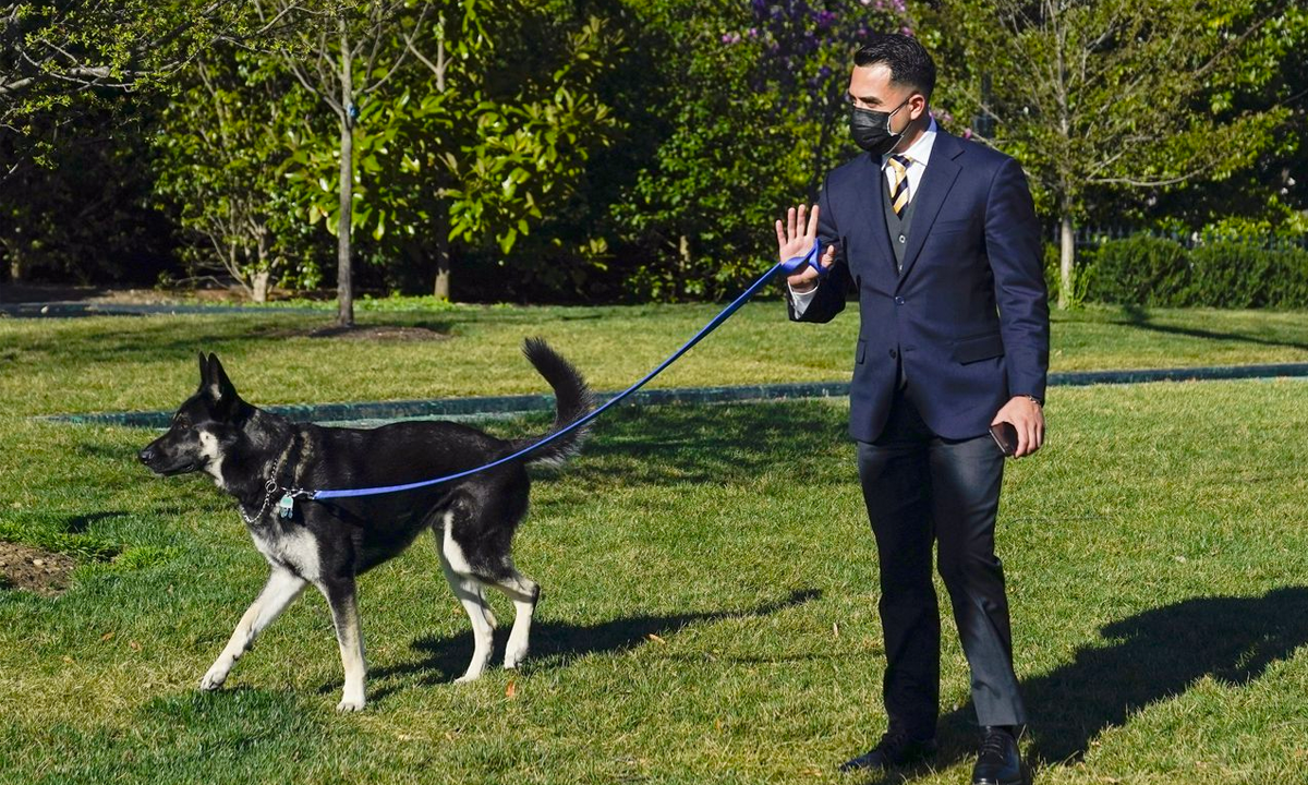 Biden’s dog Major involved in another biting incident