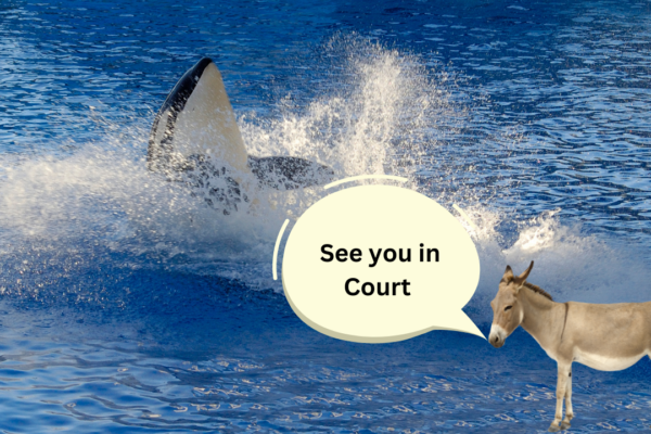 Democrats Sue Shamu